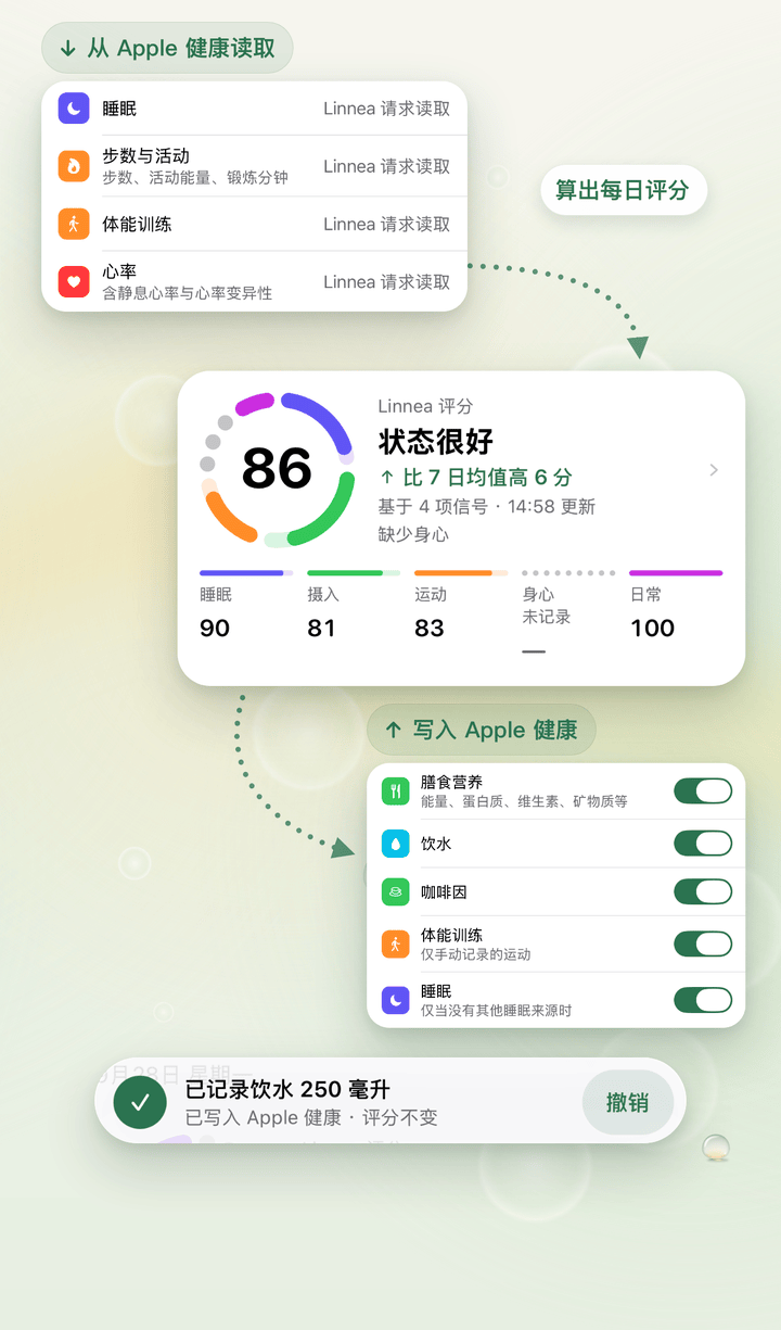 Linnea 与 Apple 健康：从 Apple 健康读取睡眠、步数与活动、体能训练和心率，算出每日评分 86；饮食营养、饮水、咖啡因、体能训练和睡眠写入 Apple 健康。
